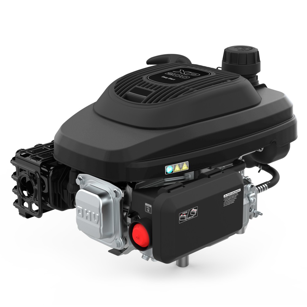 Двигатель бензиновый EVOline XP 200 A (1T90QC201EVO)