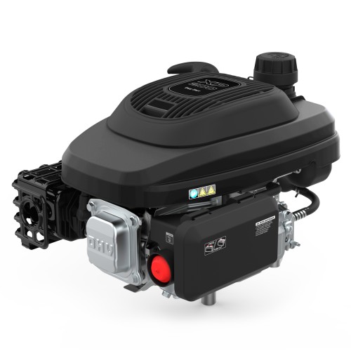 Двигатель бензиновый EVOline XP 200 A (1T90QC202EVO)