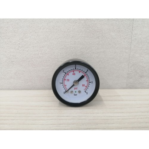 Манометр RD-SP100/24L-4